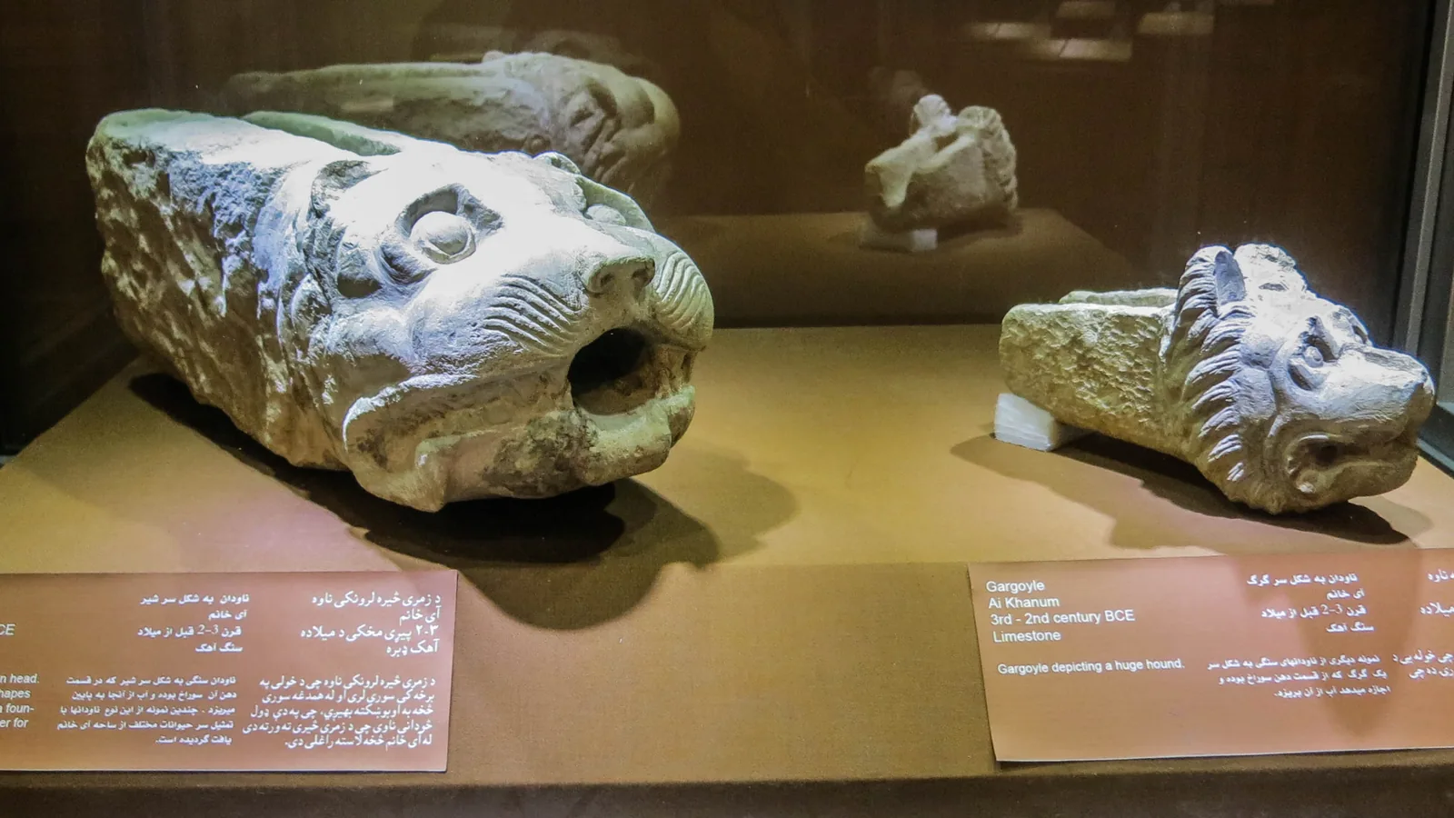 two carved limestone water spouts shaped as a lion's head and a hound's head, in a museum case with small labels