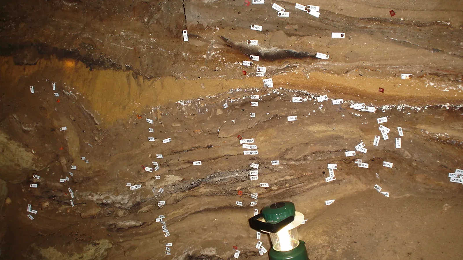 layered sand and shell deposits inside a coastal cave excavation with labeled markers