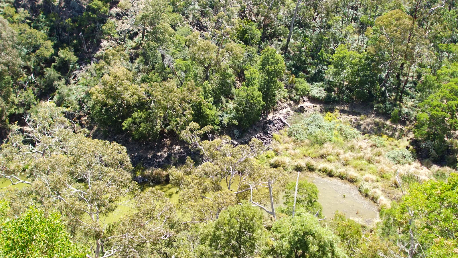 Volcanic landscape of Budj Bim (Mt Eccles) National Park, Victoria, Australia