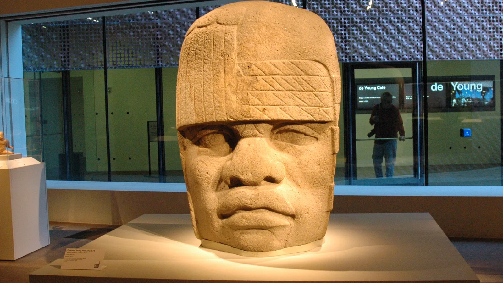 A carved Olmec stone head with a hatched headband, on display in a museum gallery