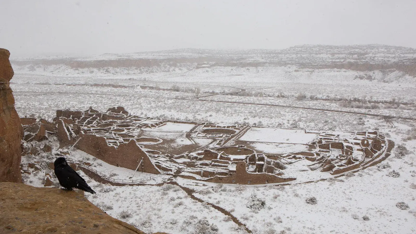 aerial view of a D-shaped stone great house with hundreds of rooms and round kivas