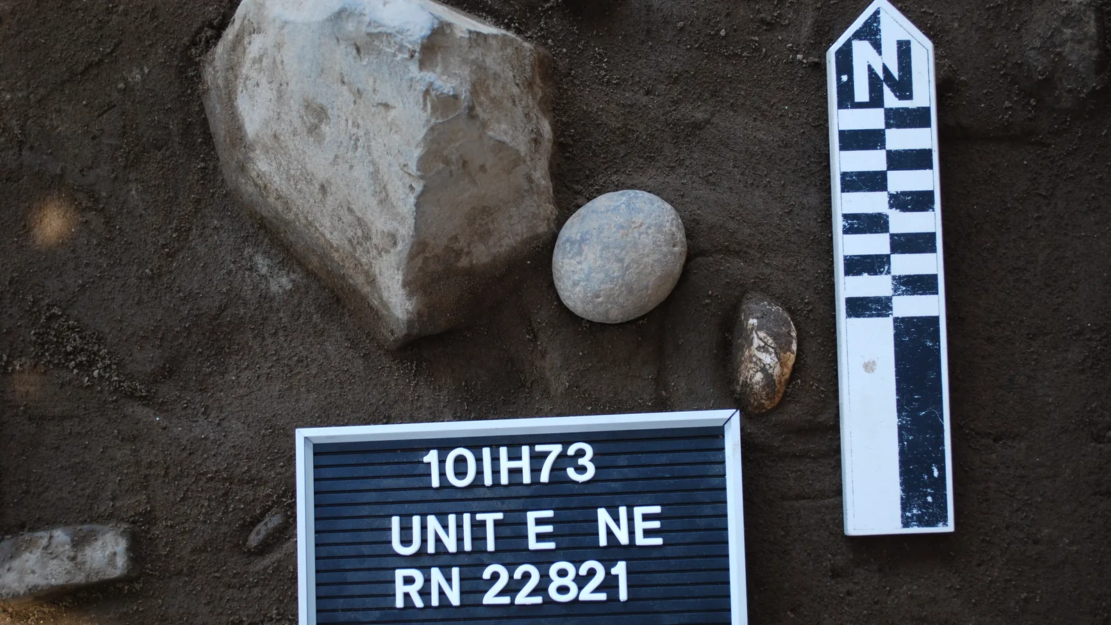 Rocks and a cobble in an excavation unit with a photo scale and unit identification tag