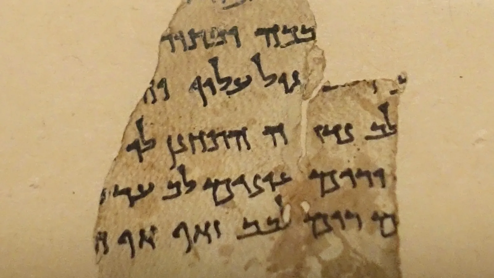 Small parchment fragment inscribed with Hebrew text, displayed in a museum case
