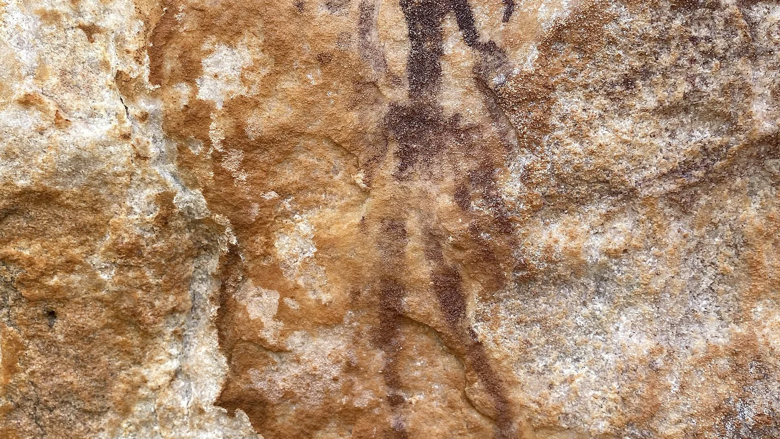 Slender dark-red painted human figures on a pale rock shelter wall on Jar Island, Kimberley