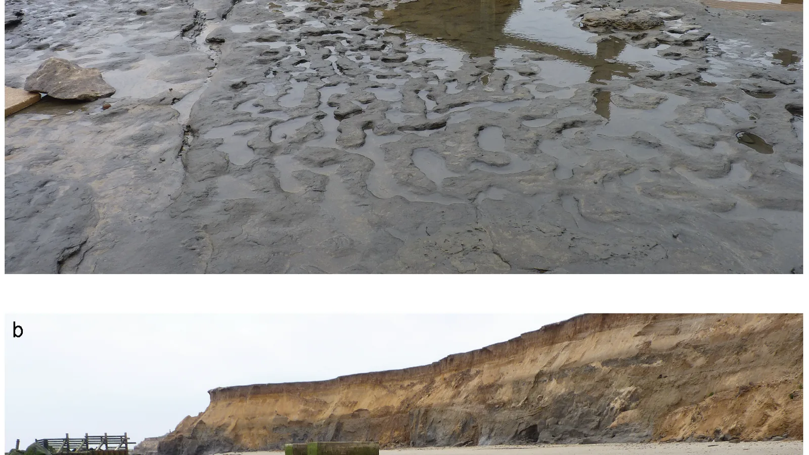 Scientific photographs of the exposed footprint surface at Area A, Happisburgh