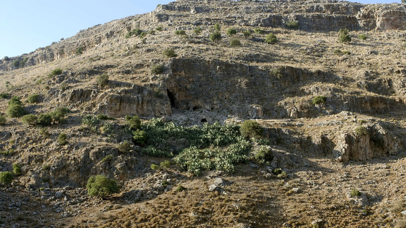 a rocky limestone escarpment with scrub and a dark cave mouth partway up the slope under a pale sky