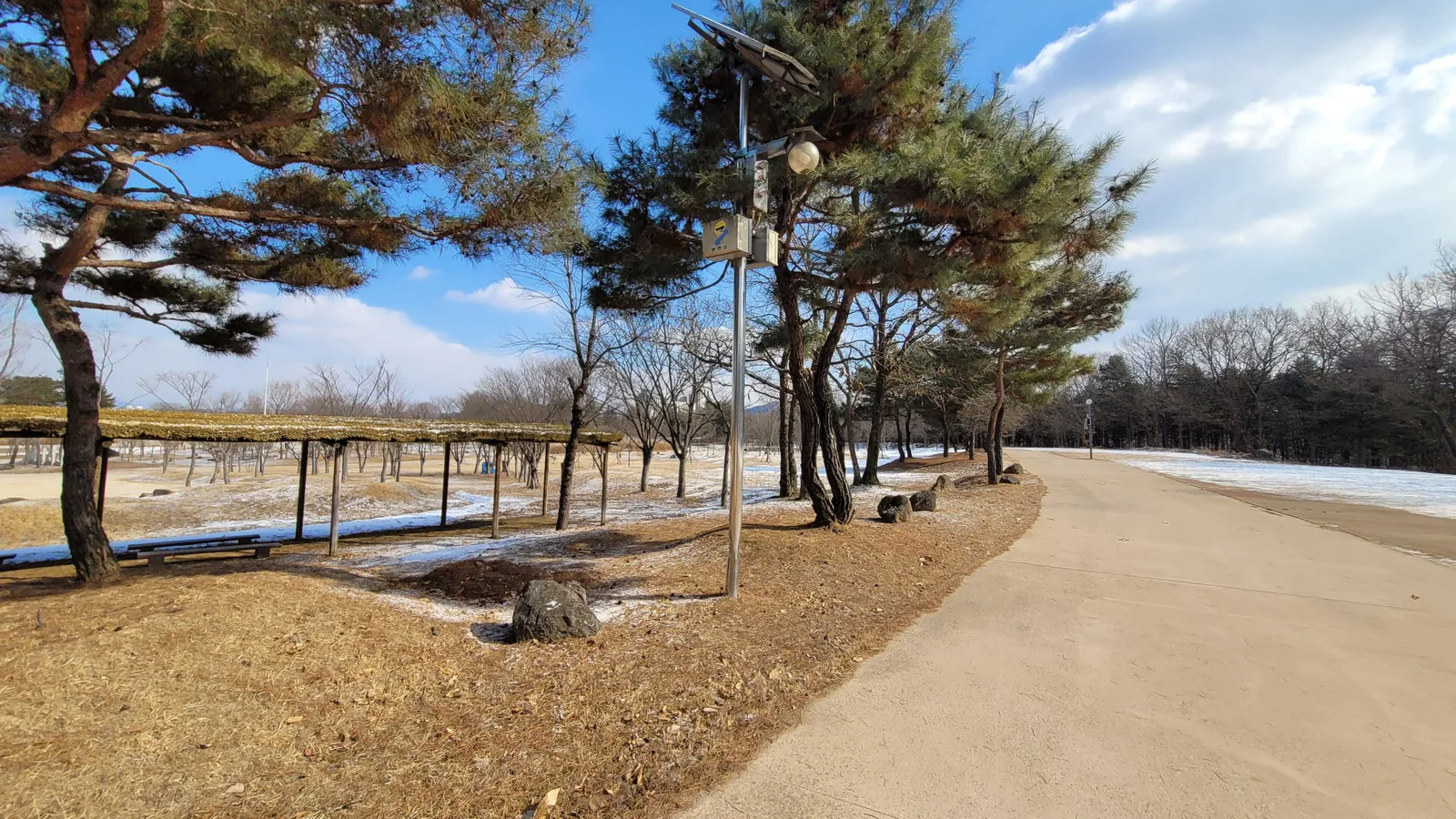 Terrain and vegetation at the Jeongok-ri archaeological site near the Hantan River