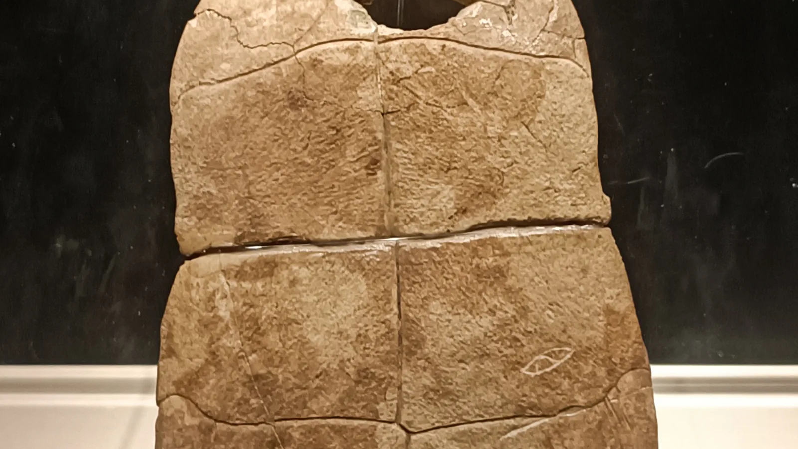 Tortoise shell fragment with a carved mark, on museum display