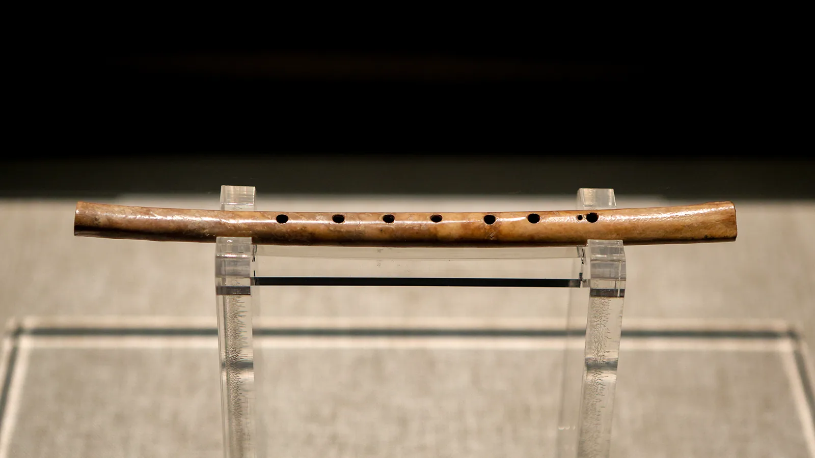 Long thin bone flute with several drilled finger holes, laid on a flat surface
