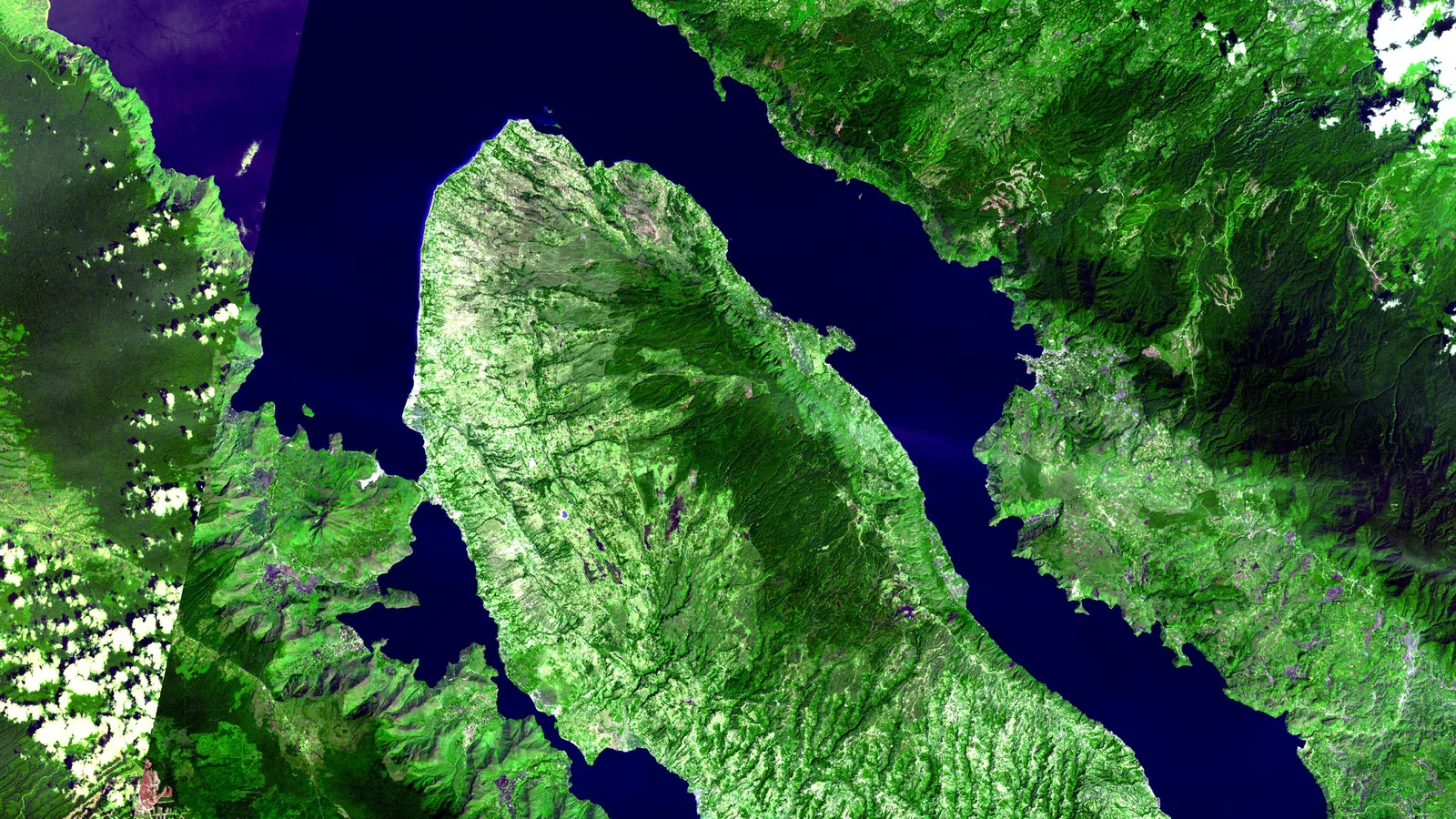 a satellite image of a long dark lake surrounding a green island, with green forested land around it