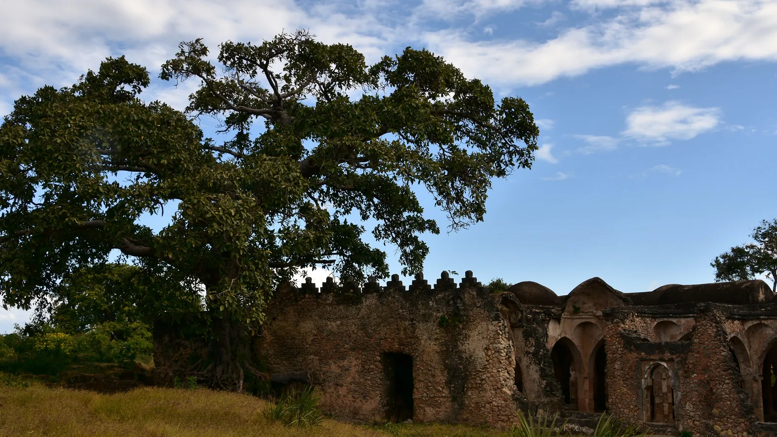 Domed and arcaded ruins of the Great Mosque of Kilwa beside a large baobab tree