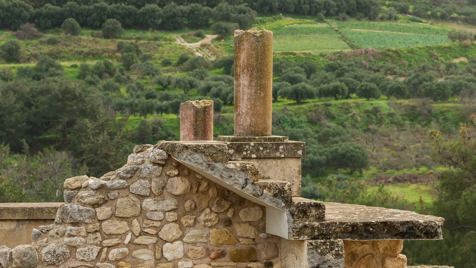 a reconstructed stone stairway and column stumps at Knossos with olive groves and hills behind