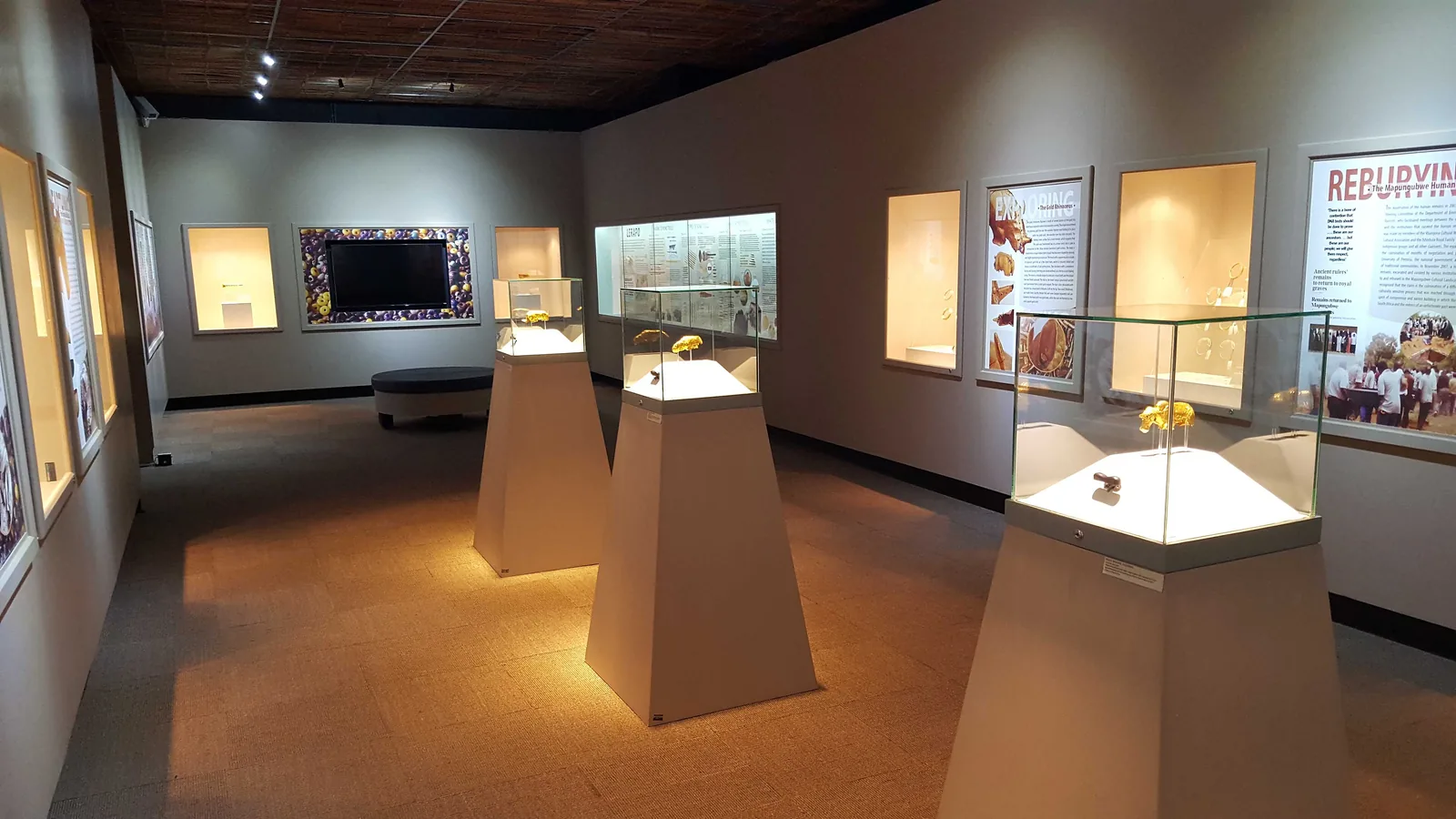 Gold gallery with display cases, one holding the small gold rhinoceros