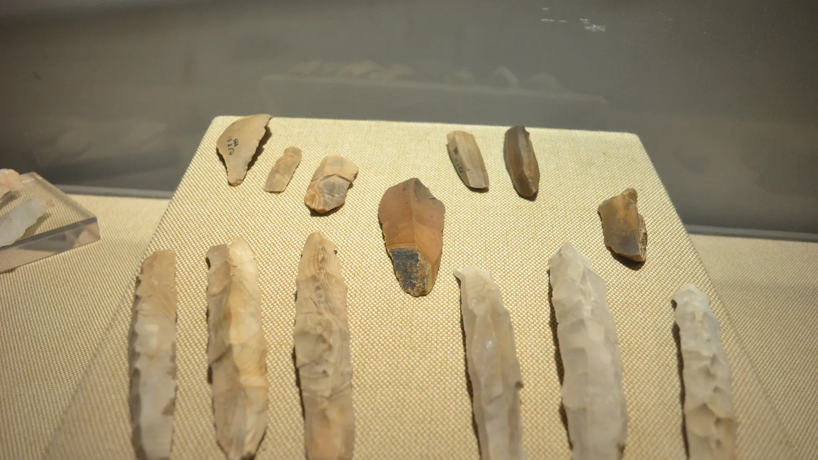 a row of thin, elongated chert stone blades laid out in a museum display case