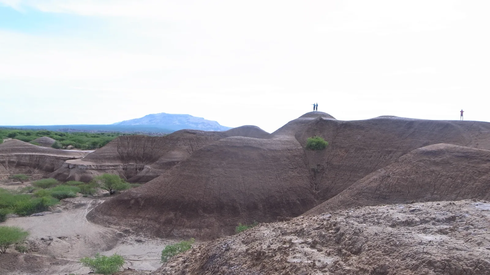 eroded brown badlands of layered sediment with scattered bushes and a flat green plain and distant hills beyond