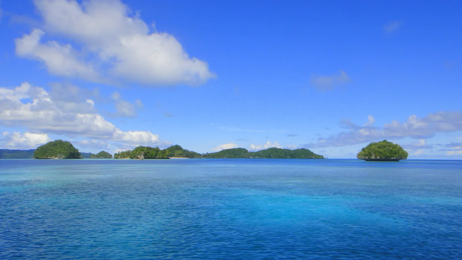 Sea-level view of forested limestone Rock Islands near German Channel, Palau