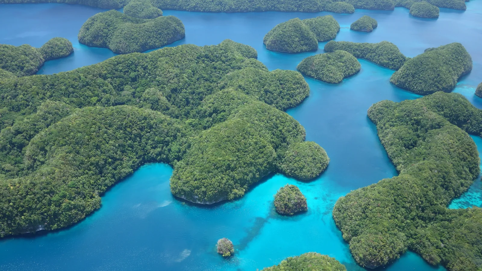 An aerial view of forested limestone islets rising from turquoise water