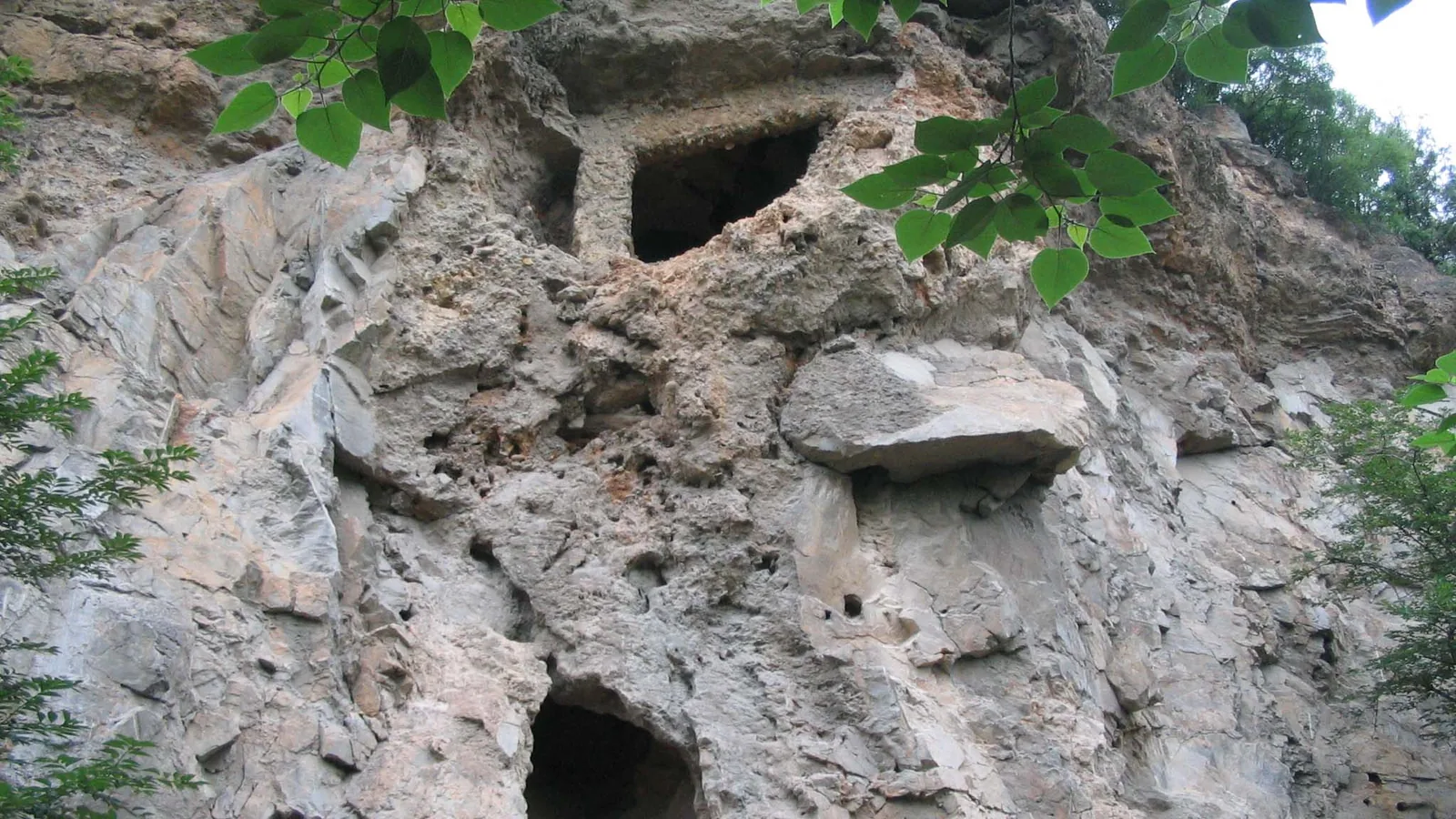 eroded pale sediment layers exposed in the wall of an excavated cave deposit