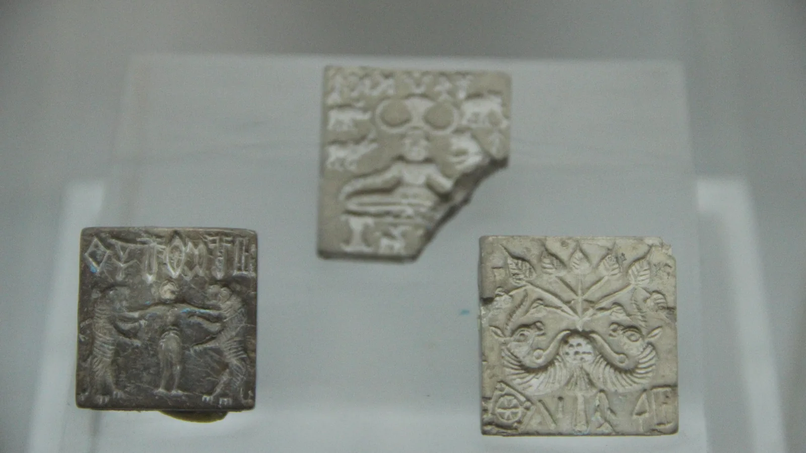 three small square steatite seals with animal figures and rows of signs, displayed on a glass block