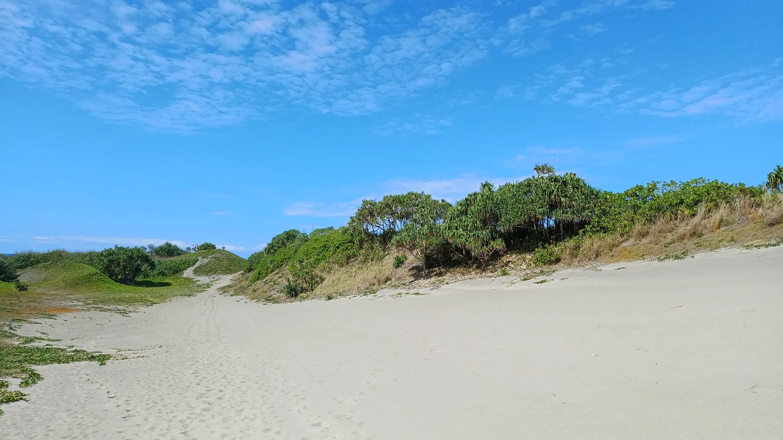 a broad pale sand dune rising toward a ridge of low green scrub under a blue sky with thin clouds