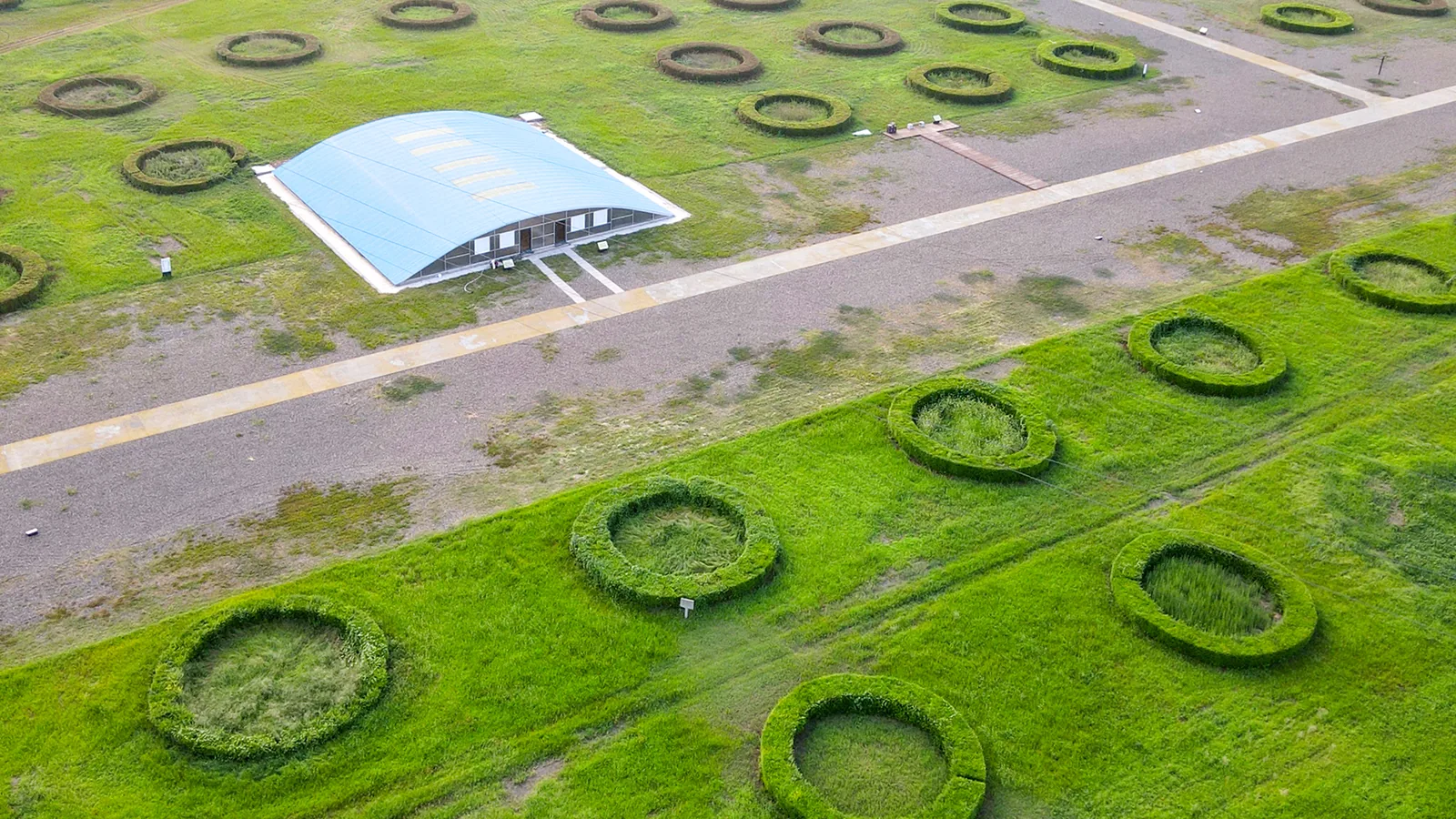 Aerial view of circular hedge-marked grain-pit outlines and a small building at an excavated granary site