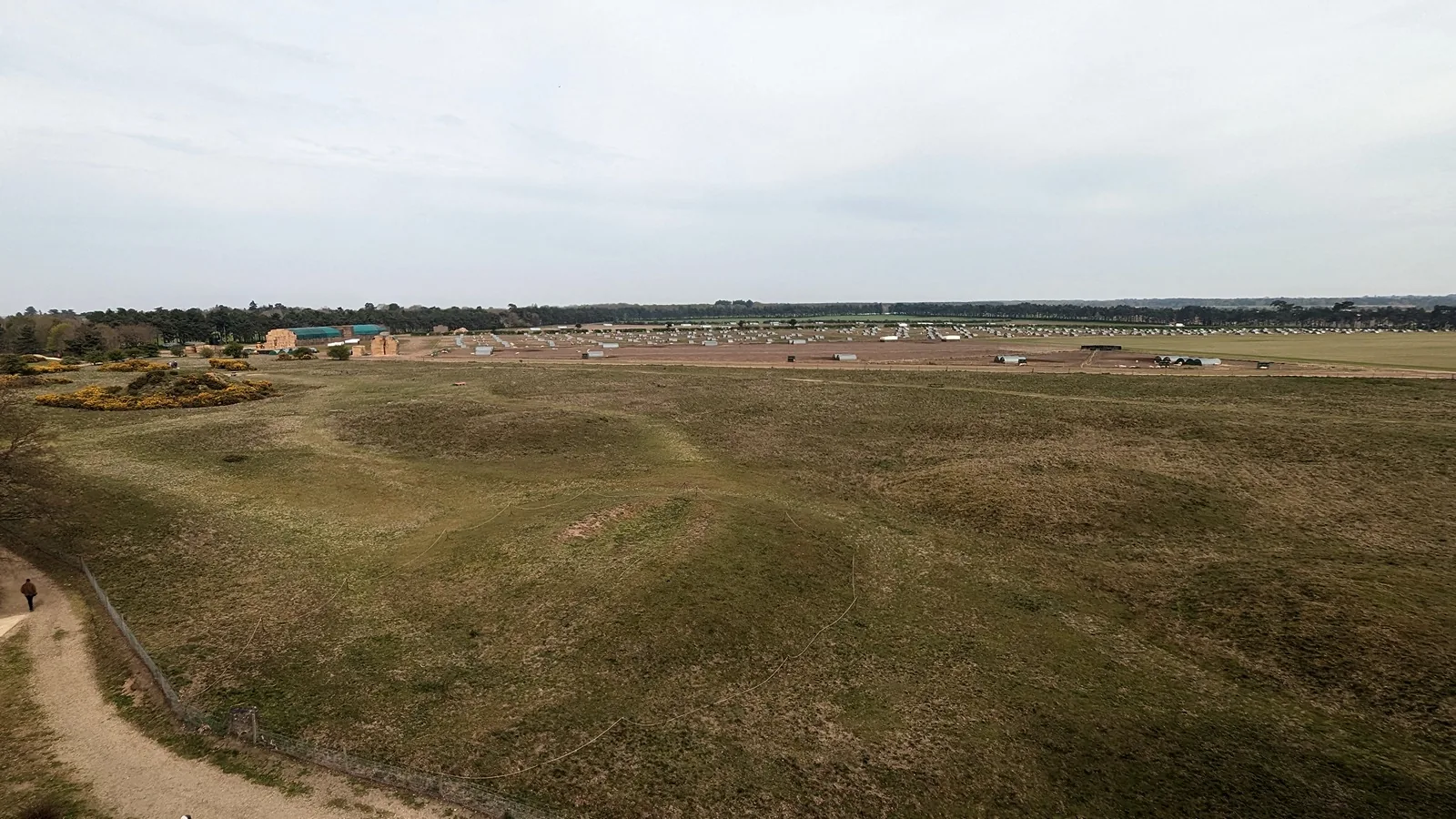 Grass-covered burial mounds in a field at the Sutton Hoo site
