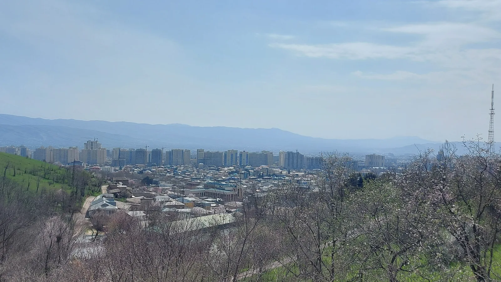 Wide view of Dushanbe's buildings and tree-lined streets under a clear sky
