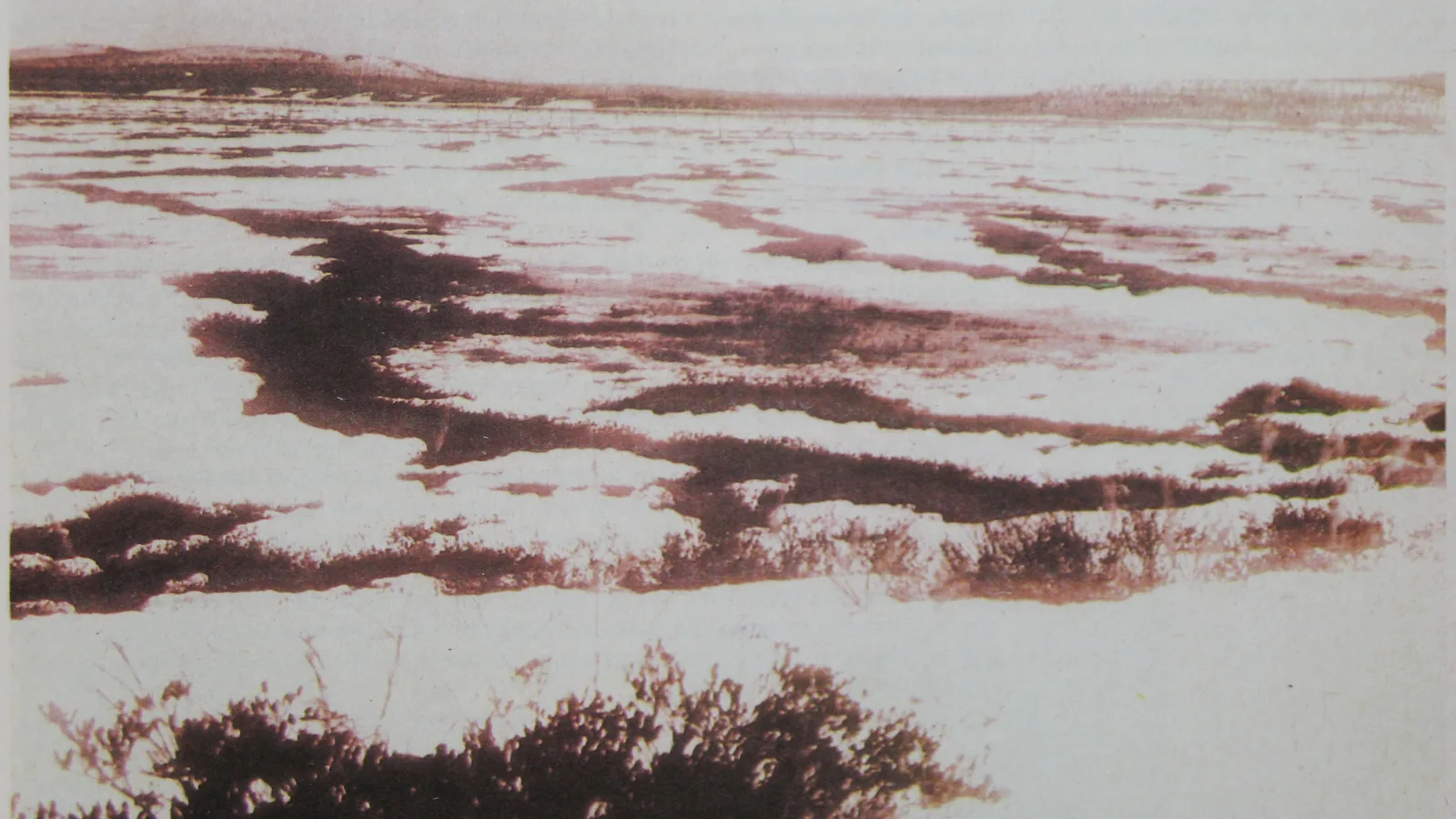 Marshy swampland near the Tunguska site, photographed from a low expedition camera