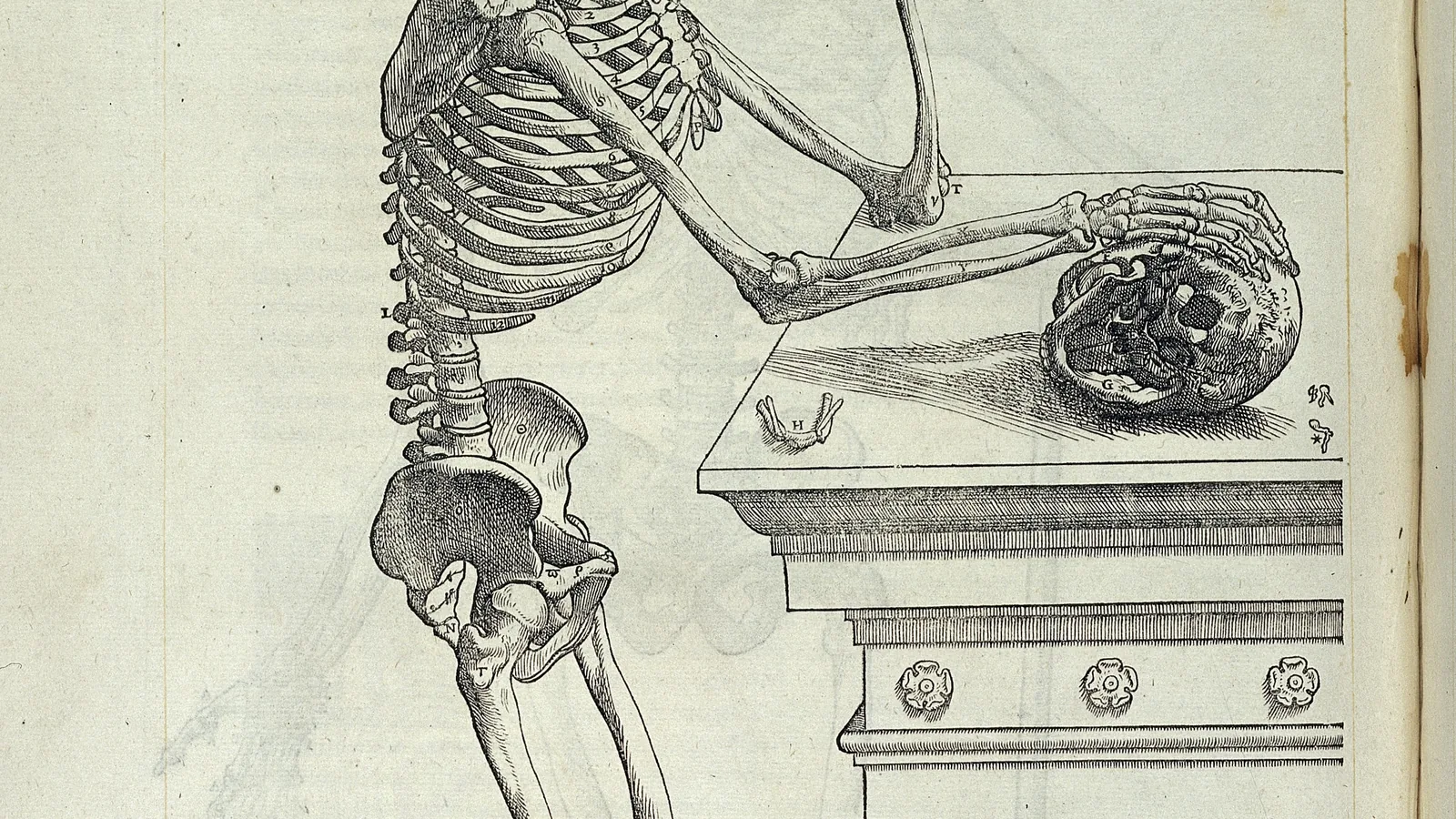 a woodcut of a standing skeleton leaning one elbow on a pedestal and looking down at a skull placed on it