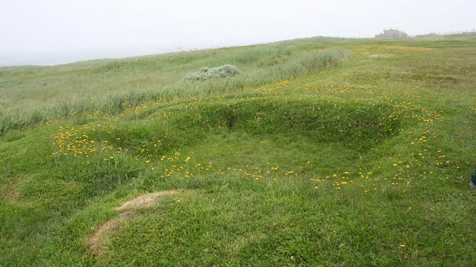 low grassy mounds marking the outline of a Norse longhouse beside the sea