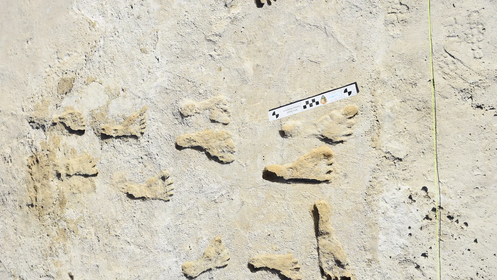 Two lines of small human footprints pressed into pale, cracked gypsum sediment
