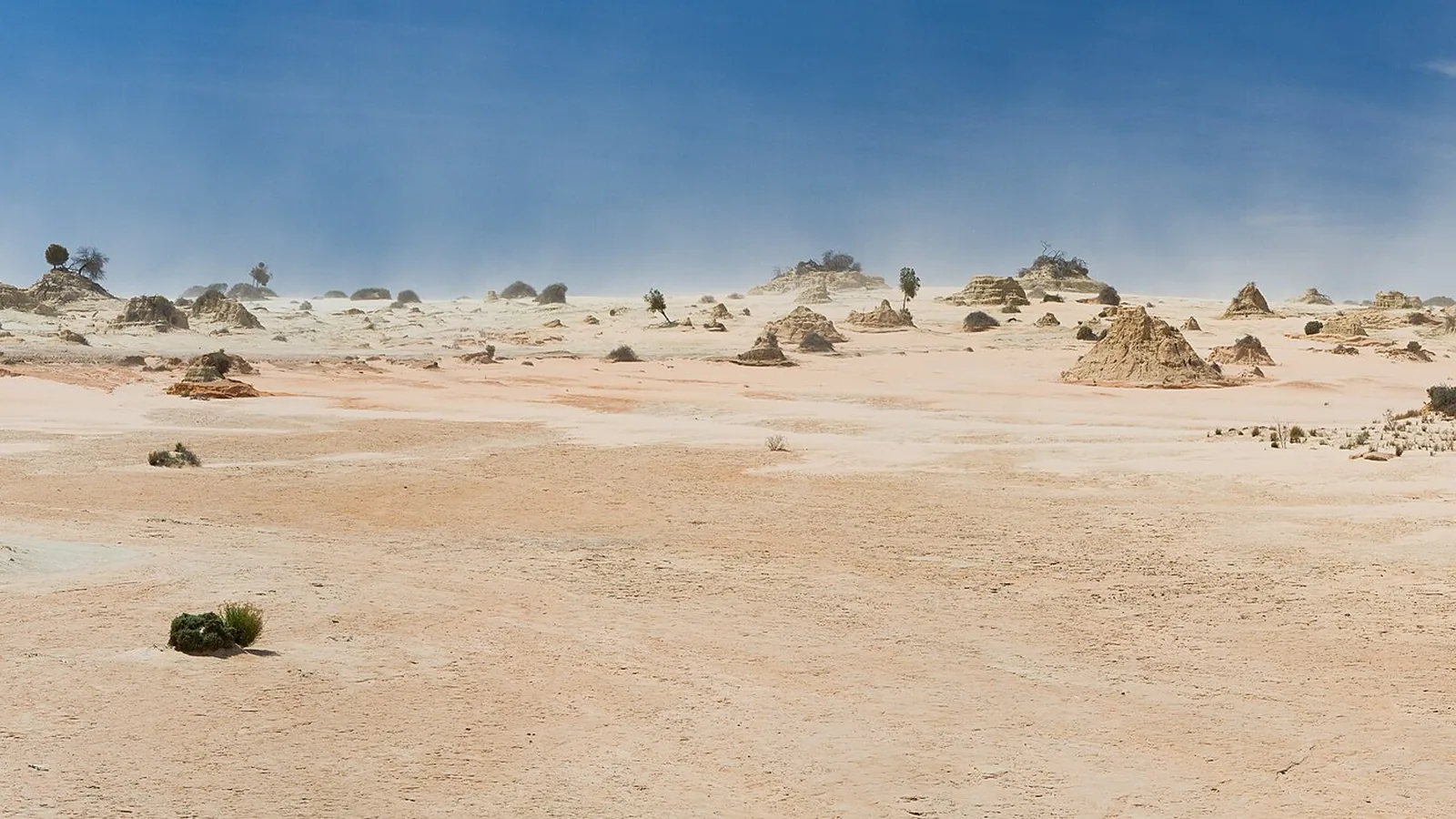 Wide panorama of scattered pale lunette pillars across the Willandra Lakes desert plain