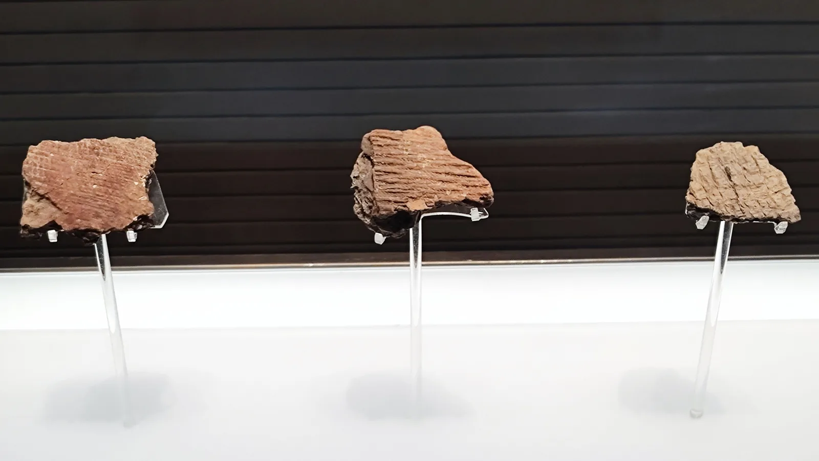 three small reddish-brown cord-marked pottery sherds on clear stands against a dark museum wall
